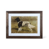 Heritage Hounds Framed Dog Wall Art (4 Styles)