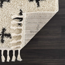 Load image into Gallery viewer, Alstead Shag Area Rug [Online Only]
