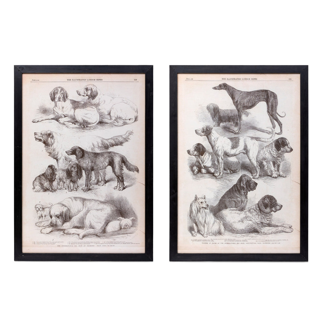 Canine Species Sepia Prints (2 Styles)