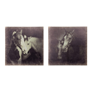 Unbridled Canvas Horse Prints