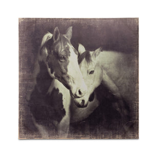 Unbridled Canvas Horse Prints
