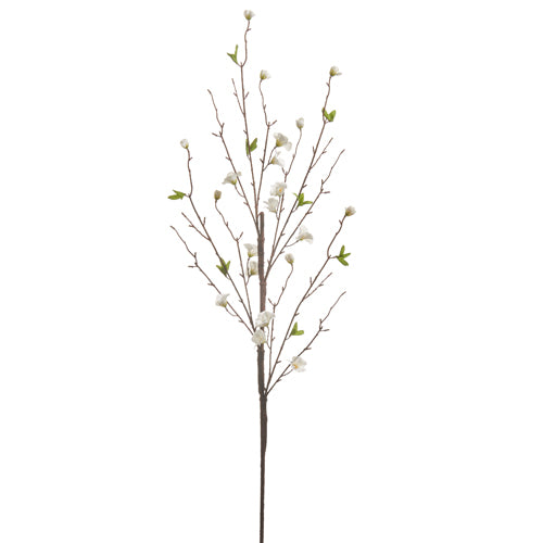 Blossom Branch 44