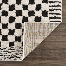 Load image into Gallery viewer, Leryn Black &amp; White Checkered Area Rug [Online Only]
