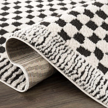Load image into Gallery viewer, Leryn Black &amp; White Checkered Area Rug [Online Only]
