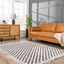 Load image into Gallery viewer, Leryn Black &amp; White Checkered Area Rug [Online Only]
