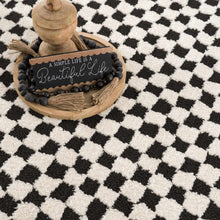 Load image into Gallery viewer, Leryn Black &amp; White Checkered Area Rug [Online Only]
