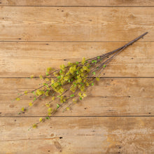 Load image into Gallery viewer, 36&quot; Yellow Eucalyptus Seed Bush
