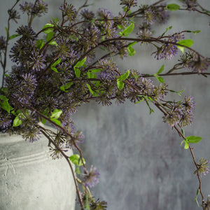 36" Purple Eucalyptus Seed Bush