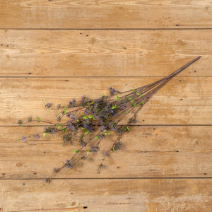 36" Purple Eucalyptus Seed Bush
