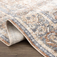 Load image into Gallery viewer, Arias Blue Boutique Washable Rug [Online Only]
