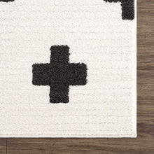 Load image into Gallery viewer, Erath Area Rug [Online Only]
