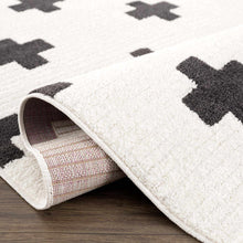 Load image into Gallery viewer, Erath Area Rug [Online Only]
