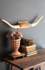 Carved Mango Wood Longhorn Wall Art