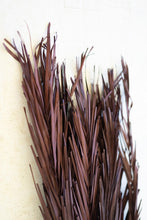 Load image into Gallery viewer, Dark Brown Khejur Leaves Bundle
