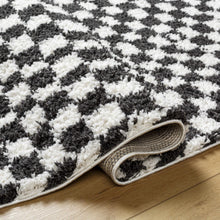 Load image into Gallery viewer, Kieu Black &amp; White Checkered Shag Rug [Online Only]
