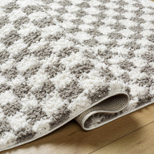 Load image into Gallery viewer, Kieu Taupe Checkered Plush Rug [Online Only]
