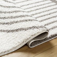 Load image into Gallery viewer, Jola Taupe Area Rug [Online Only]
