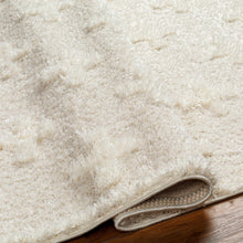 Load image into Gallery viewer, Satu Cream Area Rug [Online Only]
