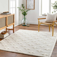 Load image into Gallery viewer, Satu Cream Area Rug [Online Only]
