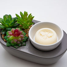 Load image into Gallery viewer, Cypress Sage &amp; Patchouli Wax Melts [Online Only]
