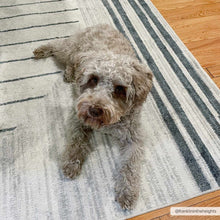 Load image into Gallery viewer, Thad Medium Gray Washable Area Rug [Online Only]
