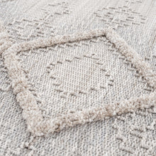 Load image into Gallery viewer, Amaga High-Low Rustic Rug [Online Only]
