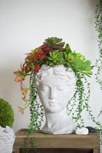 Load image into Gallery viewer, Greek Style Cement Head Planter [Online Only]
