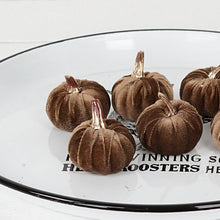 Load image into Gallery viewer, Velvet Brown Mini Pumpkins
