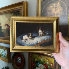 Load image into Gallery viewer, Vintage Style Dogs on fancy Pillow Art Print Framed 4x6
