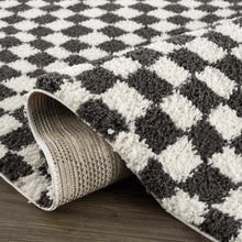 Load image into Gallery viewer, Kieu Black &amp; White Checkered Shag Rug [Online Only]
