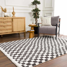 Load image into Gallery viewer, Kieu Black &amp; White Checkered Shag Rug [Online Only]
