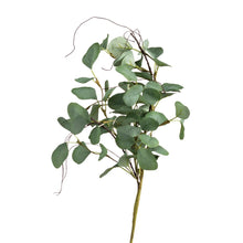Load image into Gallery viewer, Eucalyptus Large Floral Pick
