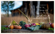 Load image into Gallery viewer, Alpenglow: Outdoor Celebrations For Every Season

