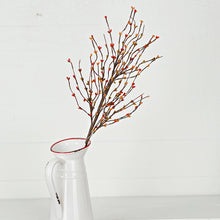 Load image into Gallery viewer, Pips Spray Pumpkin Spice 20 Inch
