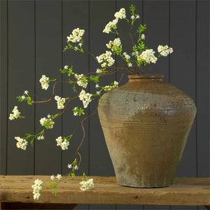 Arabian Jasmine Branch