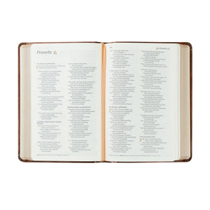 NLT Compact Bible: Aurora Theme