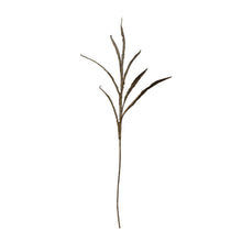 Load image into Gallery viewer, Faux Botanical, Plaster Finish, Dark Olive
