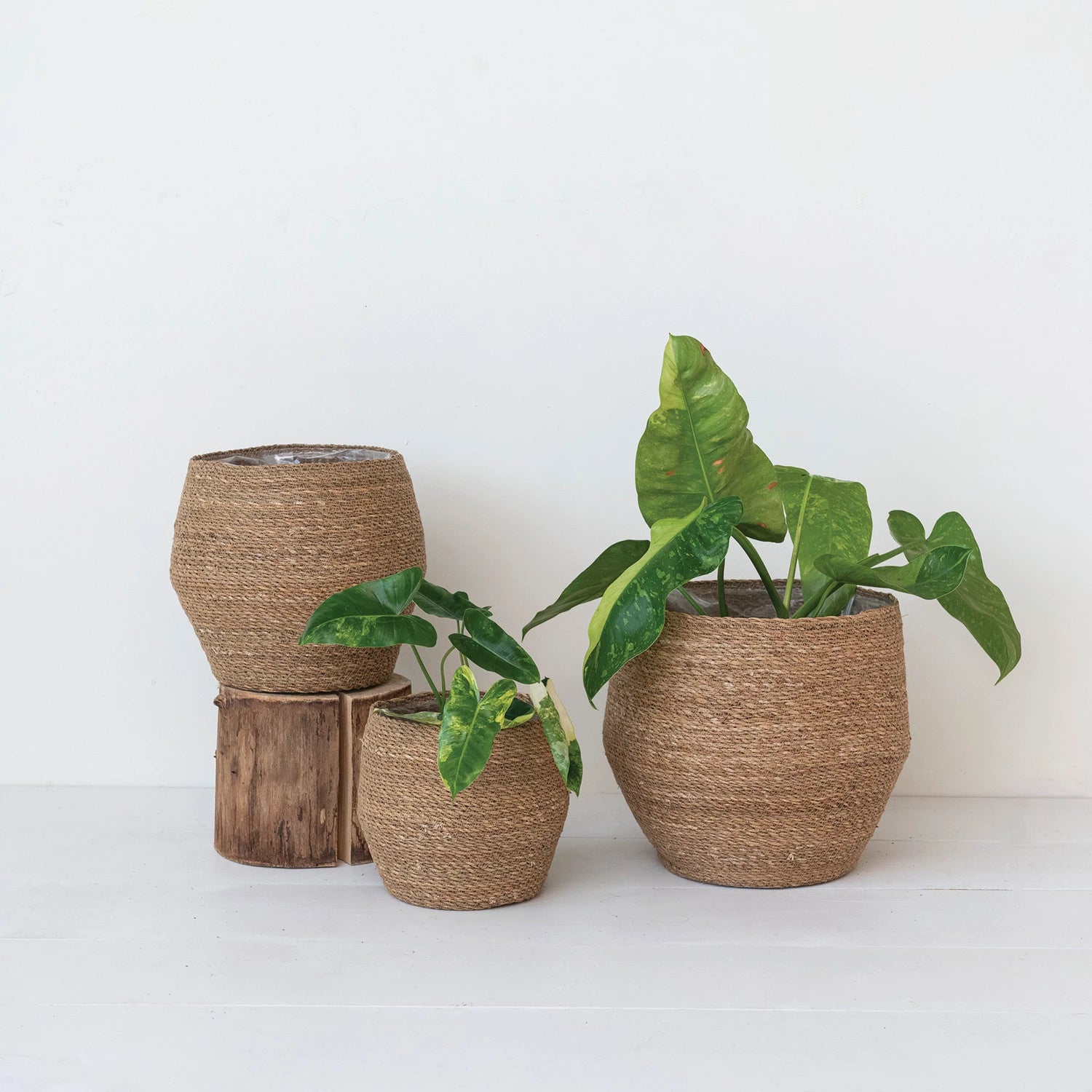 woven baskets for plants Decorative Woven Seagrass Baskets w/ Plastic Lining (3 Sizes) – Smith & York Co