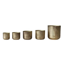 Load image into Gallery viewer, Metal Ribbed Planters with Scalloped Rims (5 Sizes)

