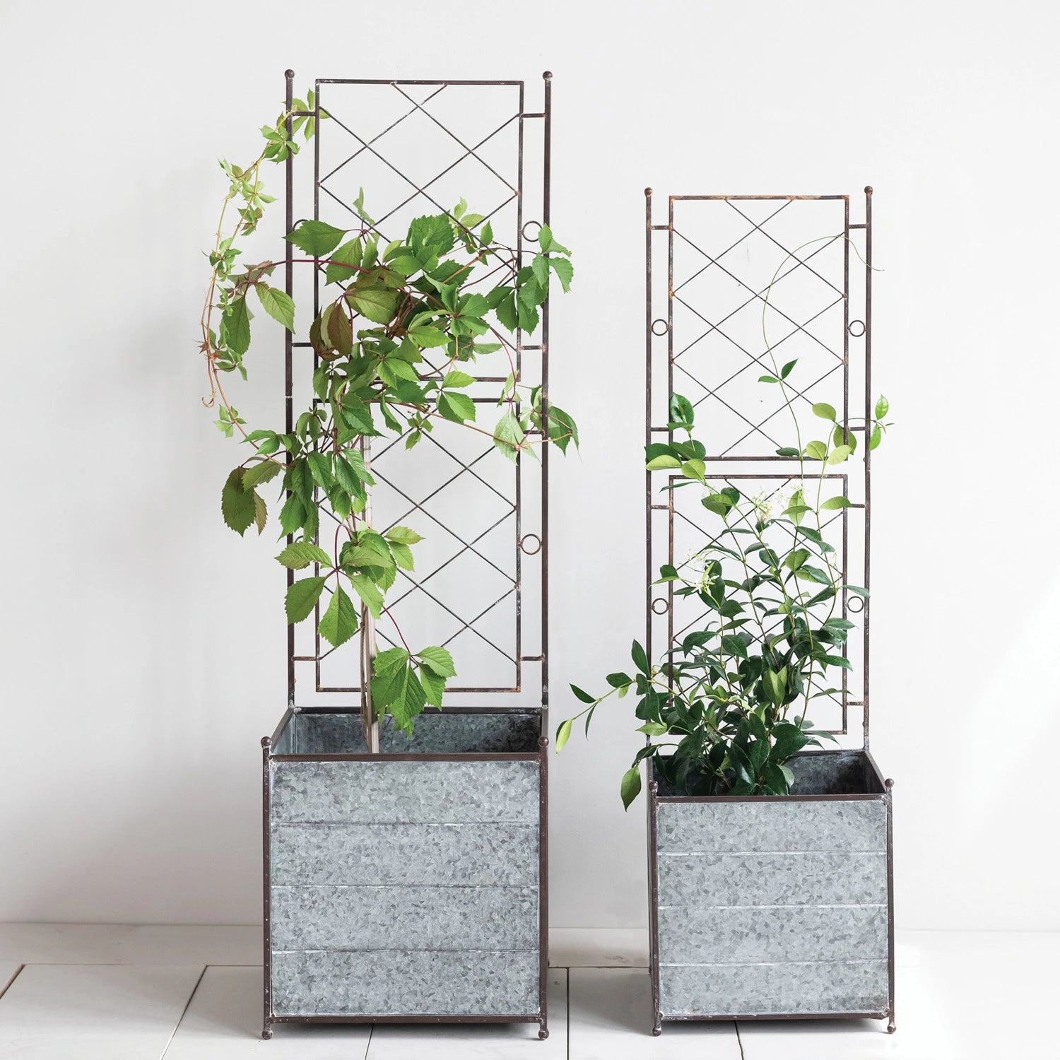 metal planter with trellis Galvanized Metal Planters with Trellis (2 Sizes) – Smith & York Co