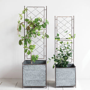planter with trellis Galvanized Metal Planters with Trellis (2 Sizes) – Smith & York Co