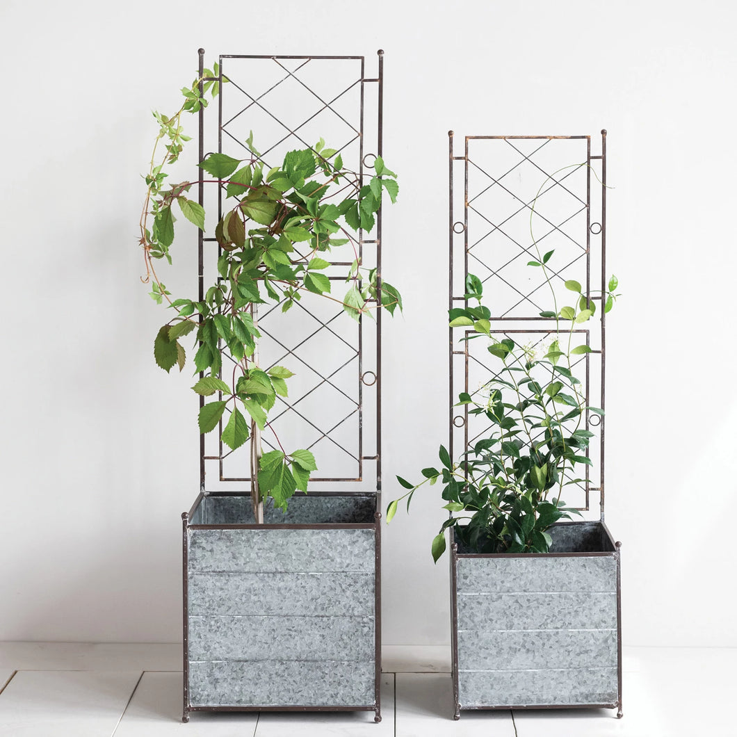 are metal planters good for indoor plants Galvanized Metal Planters with Trellis (2 Sizes) – Smith & York Co