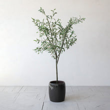 Load image into Gallery viewer, Faux Olive Tree in Plastic Pot
