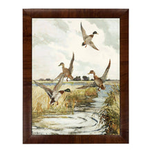 Load image into Gallery viewer, Watercolor Painting of Ducks Flying Framed Print 18" x 24"
