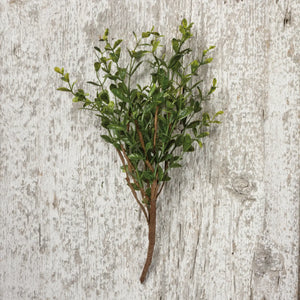 Boxwood Floral Pick Stem