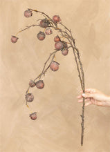 Load image into Gallery viewer, Chinaberry Burgundy Stem
