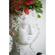 Load image into Gallery viewer, Greek Style Cement Head Planter [Online Only]
