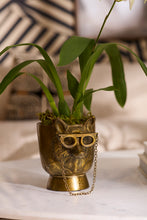 Load image into Gallery viewer, E+E Eloise the Fox Pot
