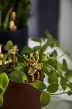 Load image into Gallery viewer, E+E Pot Huggers (Set of 6)
