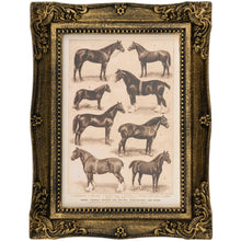 Load image into Gallery viewer, Horse Breeds Framed Wall Art 6.5 x 8.5

